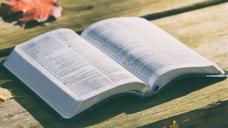 Hoy inicia el Mes de la Biblia – ACI Prensa
