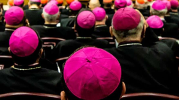 Sacerdote suplica a los Obispos que cesen las voces disonantes que dispersan a las ovejas – ACI Prensa