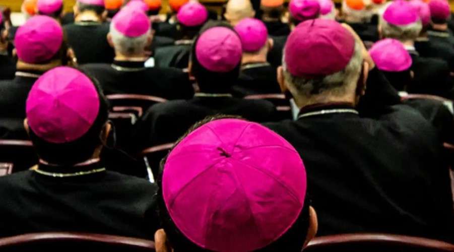 Sacerdote suplica a los Obispos que cesen las voces disonantes que dispersan a las ovejas – ACI Prensa