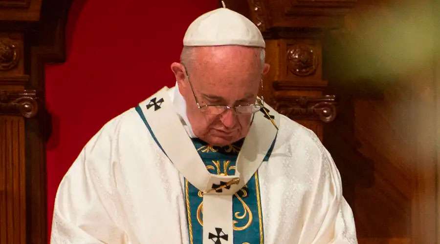 Papa Francisco: Recemos por la paz en toda tierra ensangrentada por la guerra – ACI Prensa