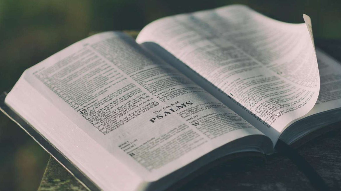 7 frases de santos que te animarán a amar más la Biblia – ACI Prensa
