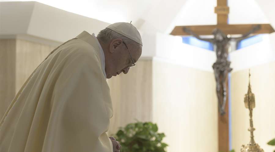 Calendario de celebraciones del Papa Francisco: julio, agosto y septiembre 2022 – ACI Prensa