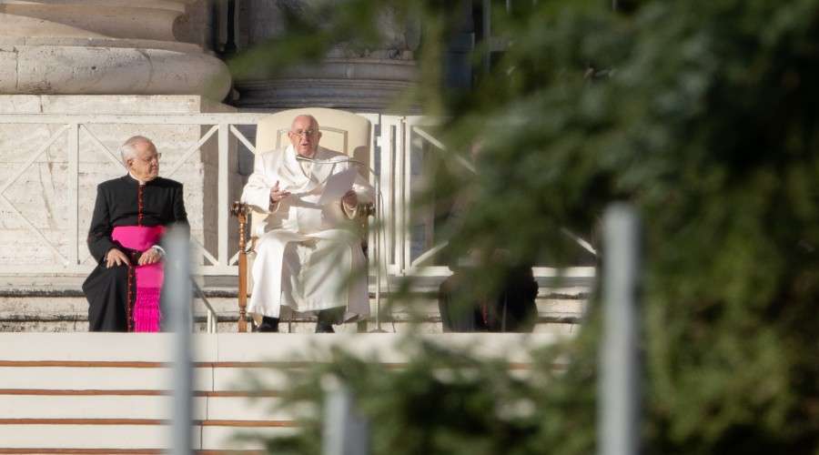 Catequesis del Papa Francisco sobre la consolación espiritual – ACI Prensa