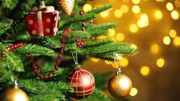 5 mitos de Navidad que todo católico debería conocer – ACI Prensa