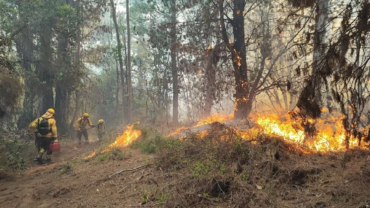 La Iglesia se une para ayudar a afectados por voraz incendio – ACI Prensa