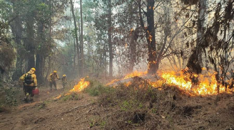 La Iglesia se une para ayudar a afectados por voraz incendio – ACI Prensa