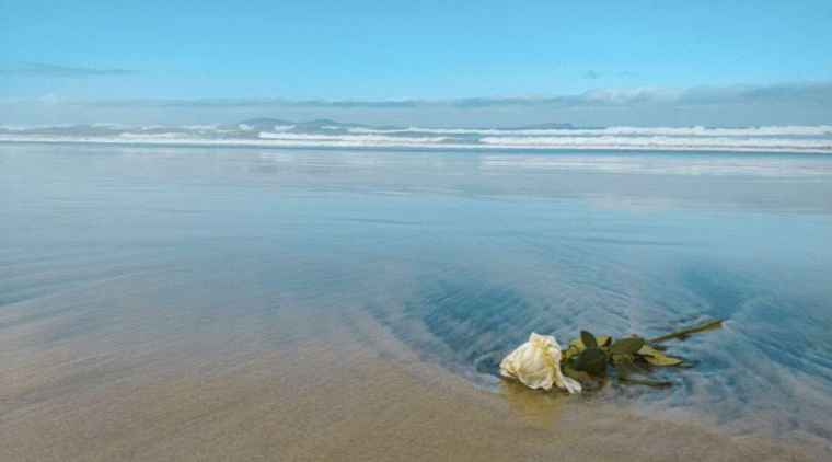 ¿Por qué la Iglesia prohíbe tirar las cenizas de los muertos al mar? – ACI Prensa