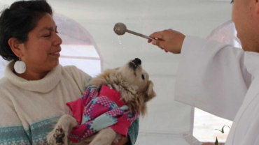 Bendición de mascotas en Puebla. Por esta razón San Antonio Abad es el Santo de los gatos y perros | El Universal Puebla – El Universal Puebla