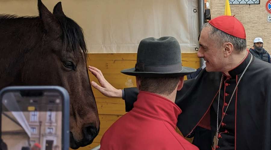Bendicen animales en el Vaticano en fiesta de San Antonio Abad … – ACI Prensa