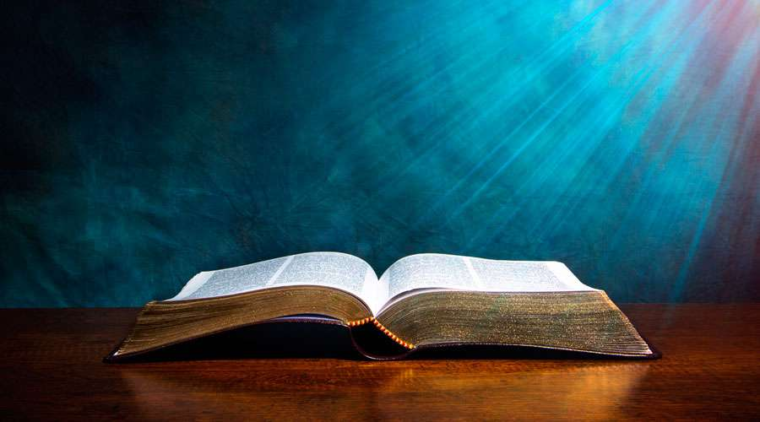 Así se celebrará el Domingo de la Palabra de Dios en América y … – ACI Prensa