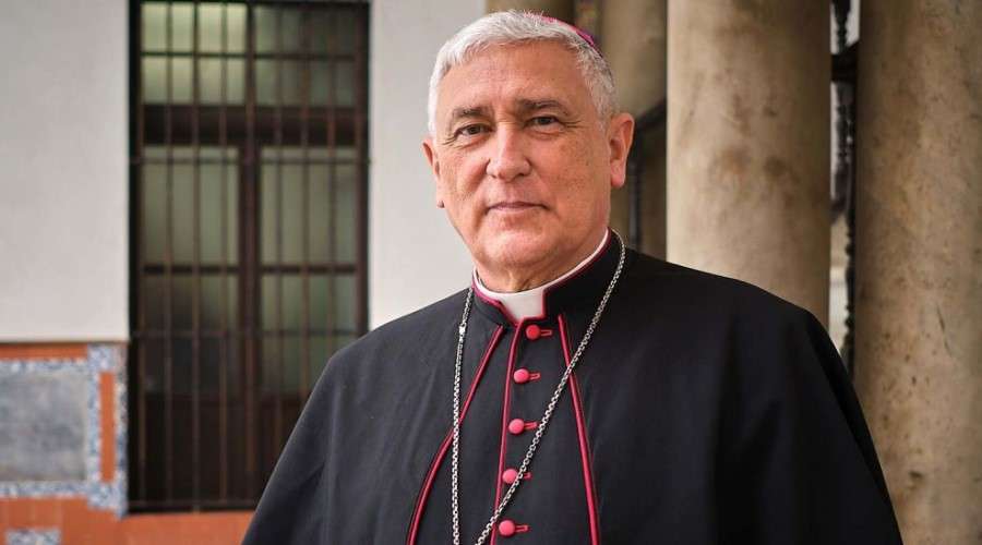 Obispo clama por la paz y la misericordia tras el atentado islamista – ACI Prensa