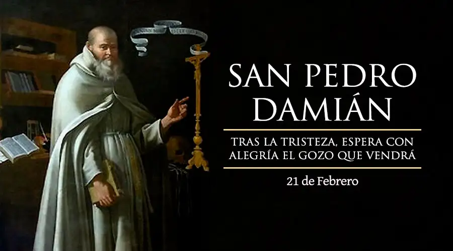 San Pedro Damian, Cardenal y Obispo de Ostia