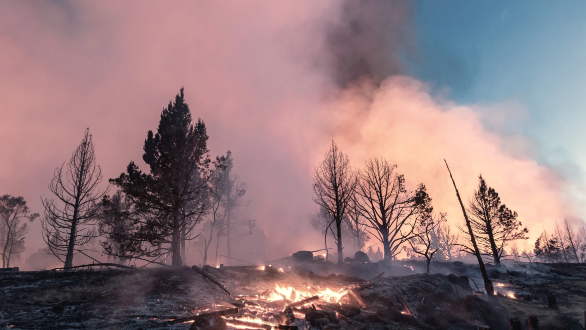 “Un páramo apocalíptico”: Así describe un obispo la devastación por incendios en Canadá