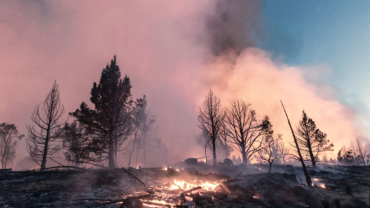 “Un páramo apocalíptico”: Así describe un obispo la devastación por incendios en Canadá