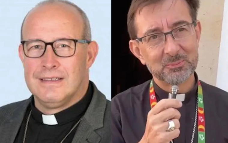 El Papa nombra a dos españoles nuevos miembros del Dicasterio para los Obispos