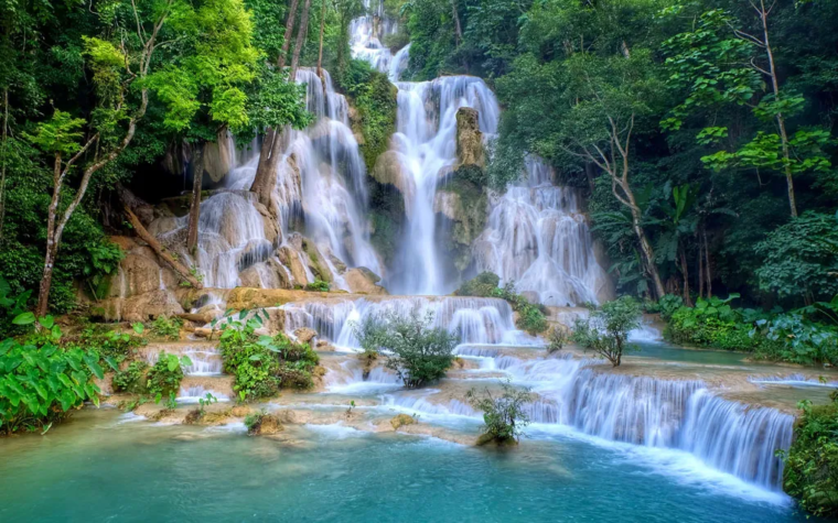 Hoy comienza el Tiempo de la Creación, que termina en la fiesta de San Francisco