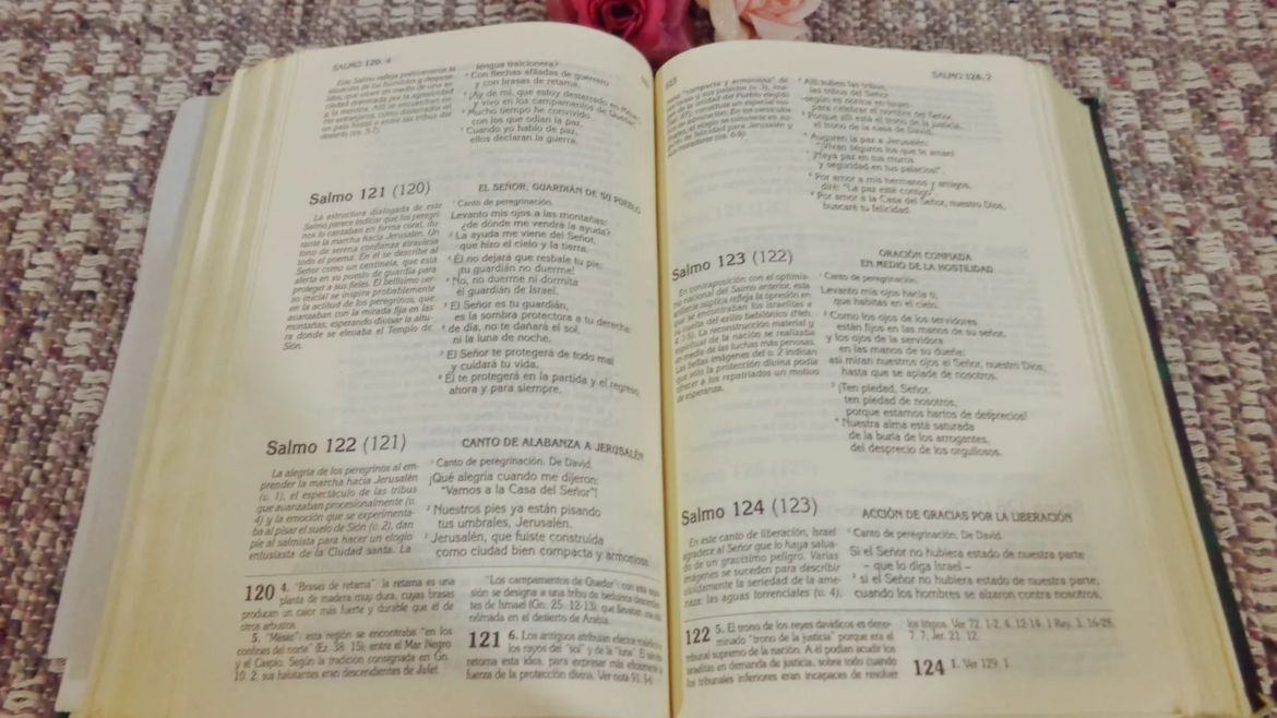 5 pautas para una lectura fecunda de la Biblia en clave católica