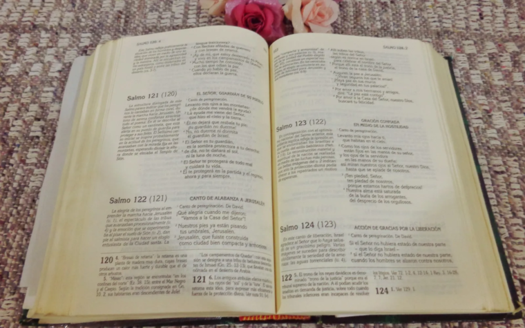 5 pautas para una lectura fecunda de la Biblia en clave católica