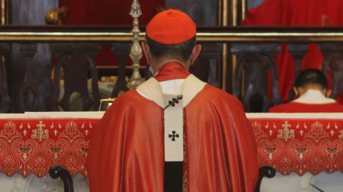 Laica española lanza un canal para dar a conocer a los Cardenales de la Iglesia Católica