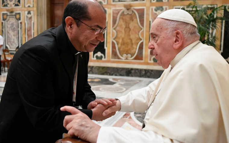 Papa Francisco: La tristeza es un parásito que arruina la vida