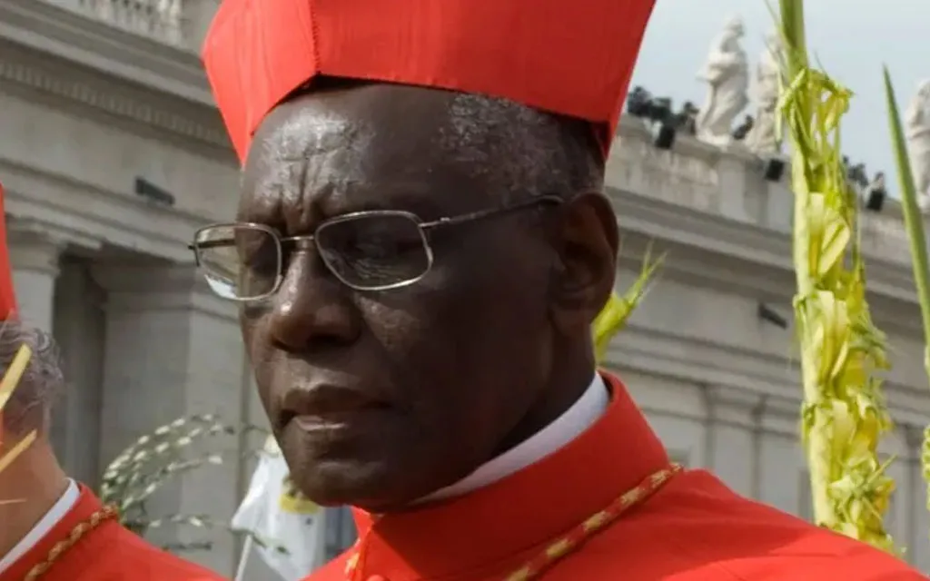 Cardenal Sarah a obispos de África: Debemos defender la universalidad de la fe de cara al Sínodo de la Sinodalidad