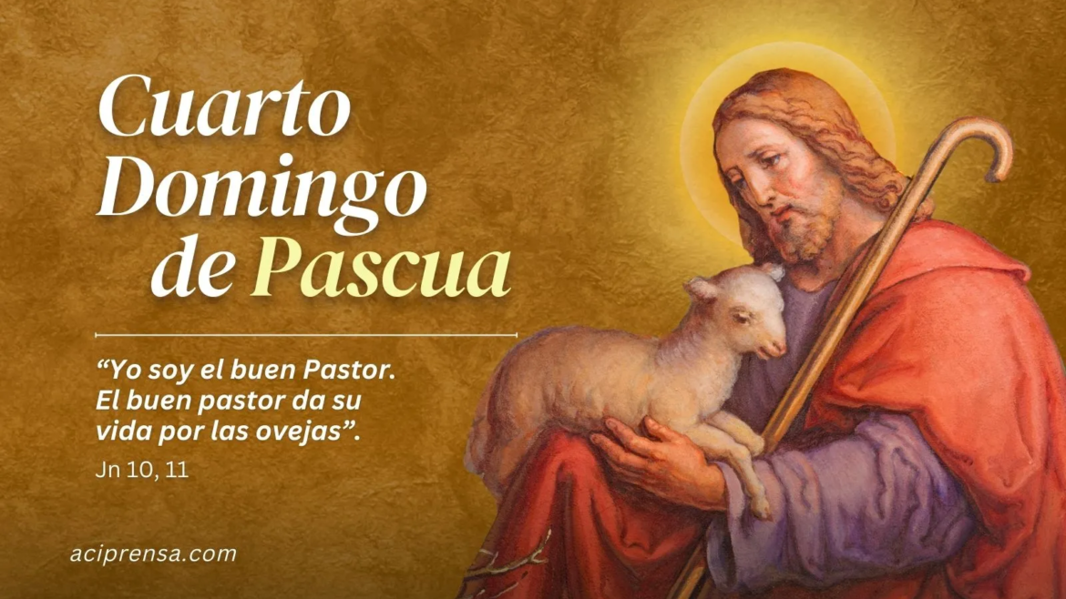 Hoy celebramos el Cuarto Domingo de Pascua, el domingo del Buen Pastor