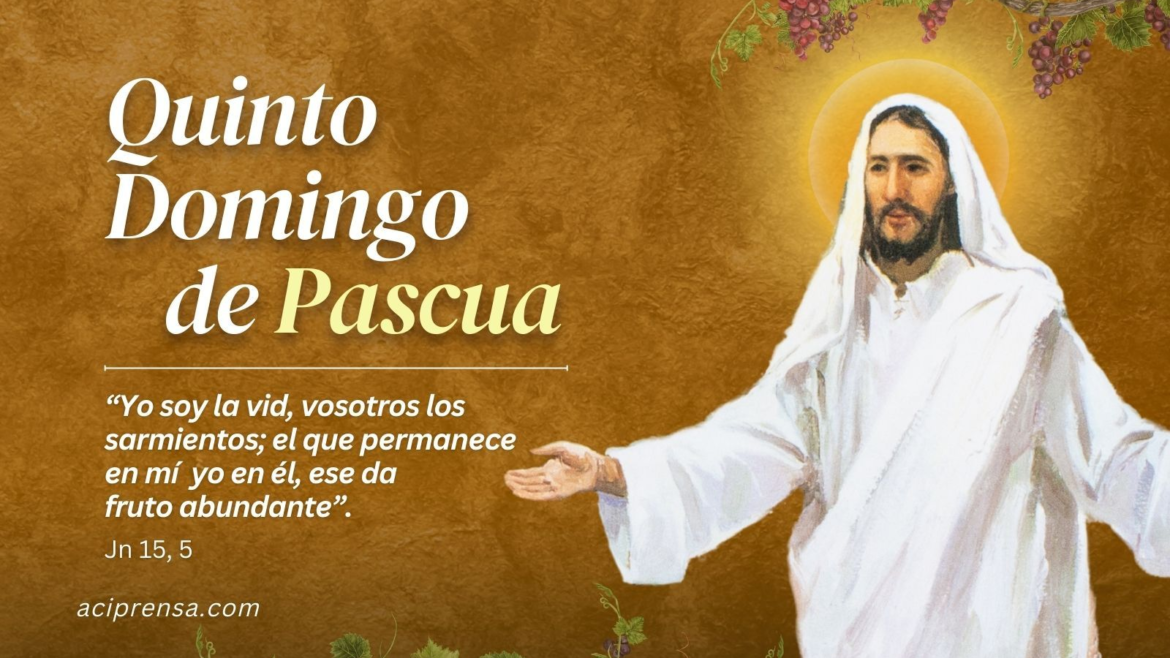 Hoy celebramos el Quinto Domingo de Pascua: “El que permanece en mí da fruto abundante”