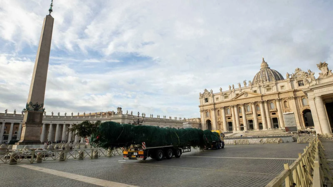 El árbol de Navidad del Vaticano, envuelto en polémica por objeciones medioambientales