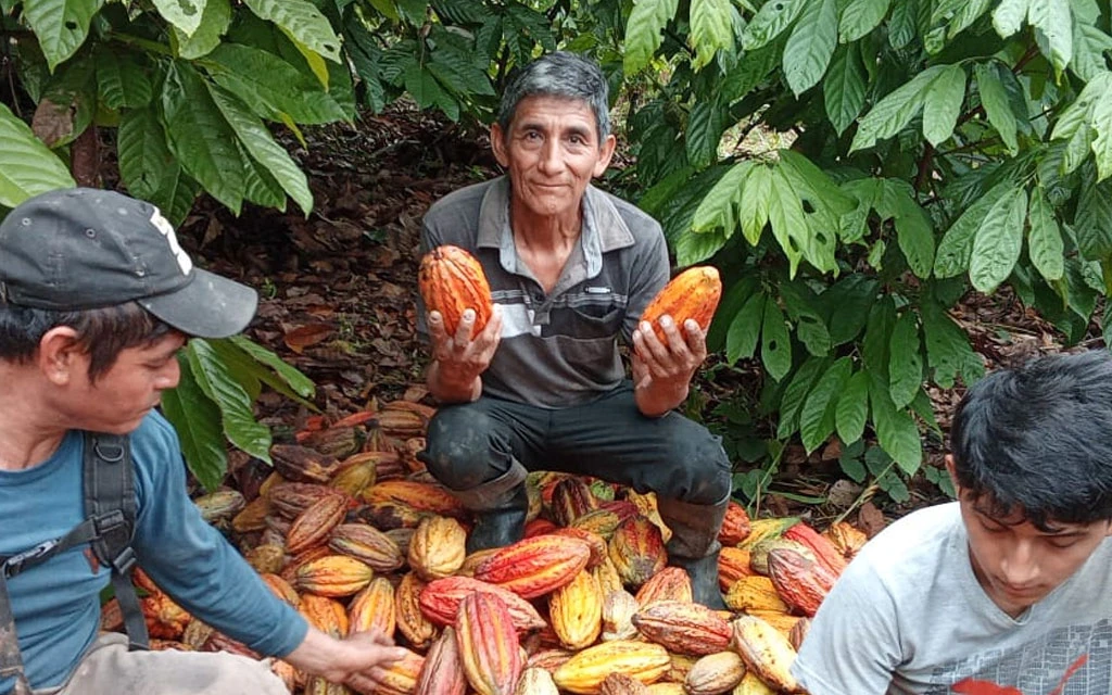 Estuvo en la cárcel por narcotráfico y ahora, “gracias a Dios”, produce cacao de clase mundial
