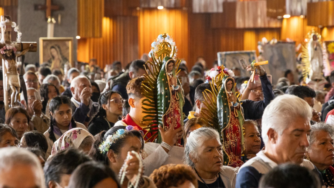 5 consejos de la Iglesia para cuidar el medio ambiente al peregrinar a la Basílica de Guadalupe