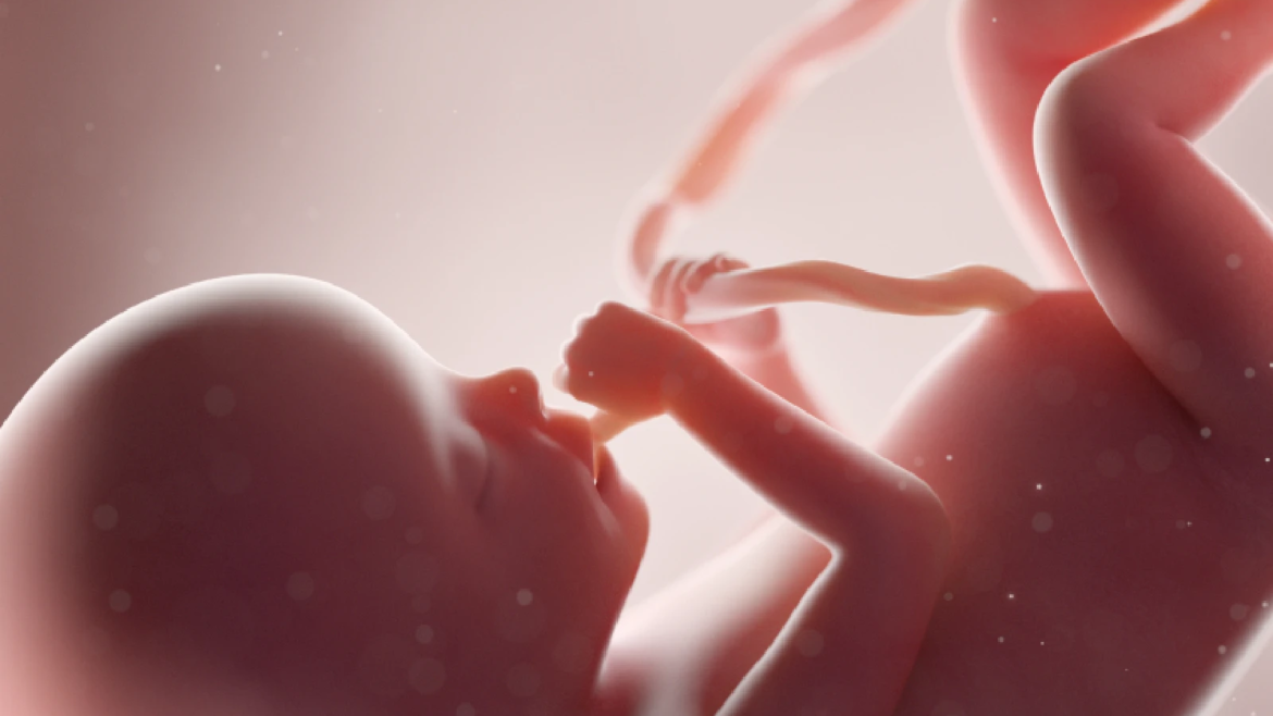 9 Días por la Vida: Prepárate para rezar esta novena por los niños no nacidos