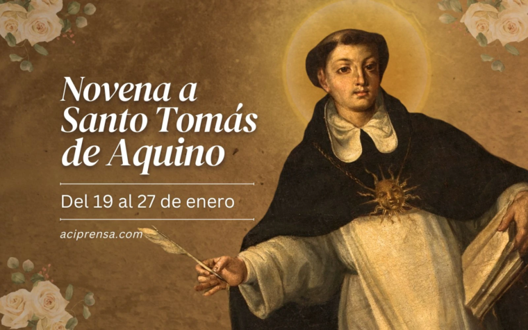 Hoy comienza la novena a Santo Tomás de Aquino, patrono de la educación católica