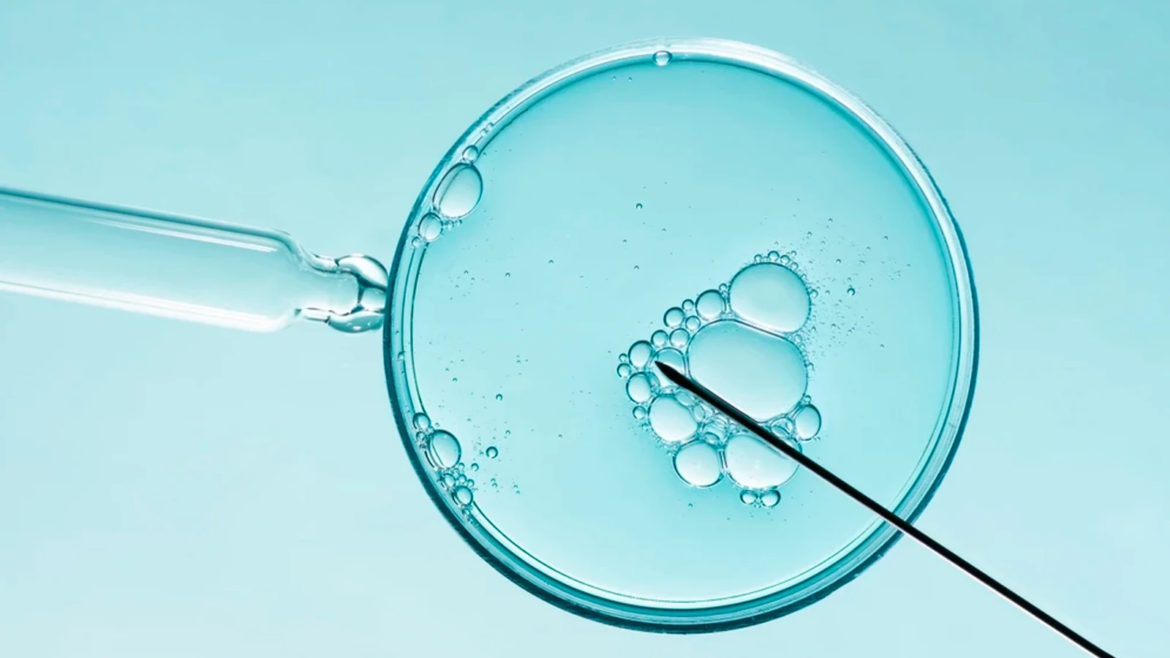 Providas critican orden ejecutiva de Trump que amplía acceso a la fecundación in vitro