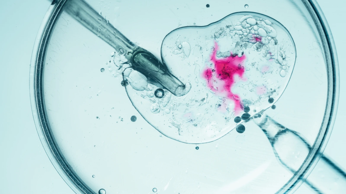 Obispos de EE.UU. critican orden ejecutiva de Trump sobre fertilización in vitro y piden alternativas éticas