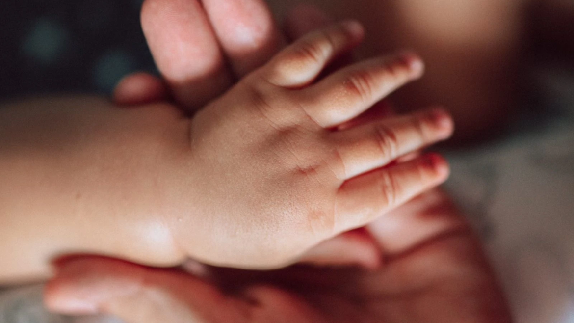 Diplomado en Cultura de la Vida busca fomentar “un cambio de raíz” en cada corazón