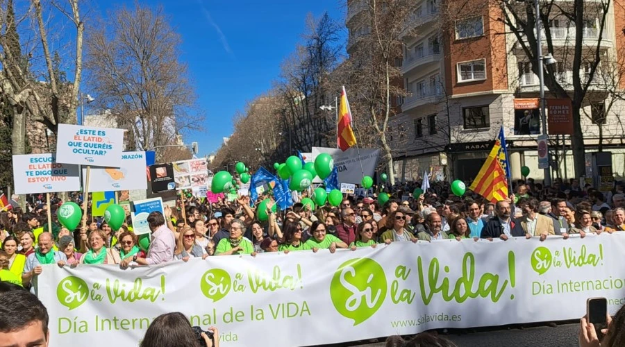 Convocada la marcha provida anual en España: “No vamos a bajar los brazos”