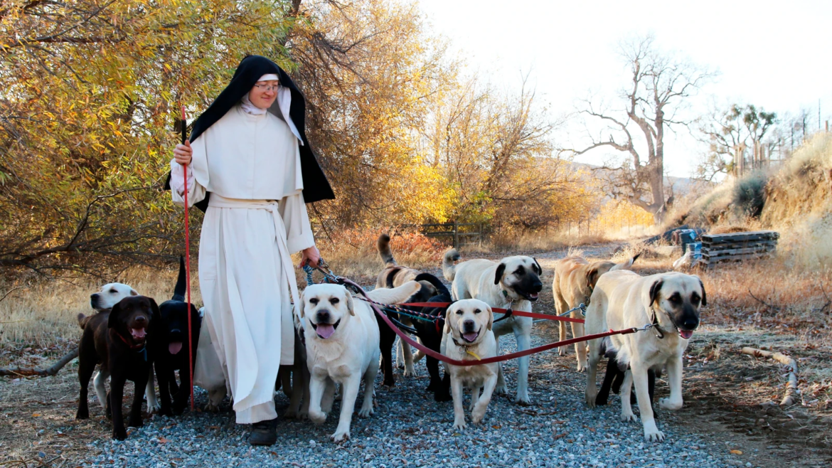 Las monjas de clausura que crían perros, elaboran queso y rezan siempre