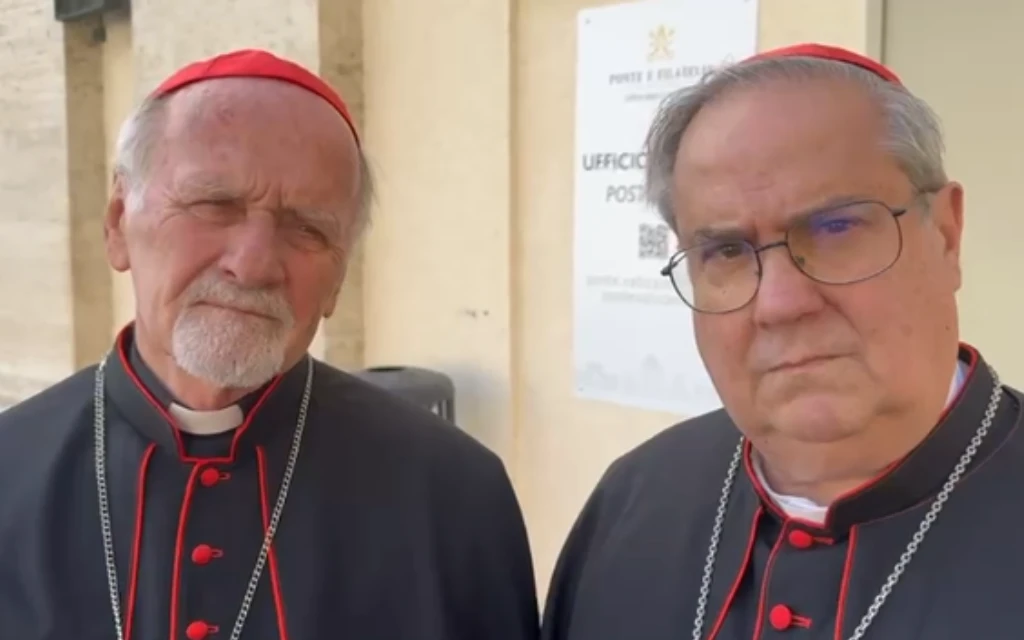 Cardenales electores argentinos esperan encontrar a la persona que siga el camino de Francisco