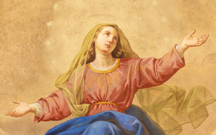 Sacerdote comparte 6 claves sobre la pureza de la Virgen María