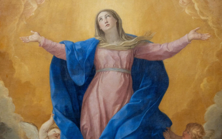 Cardenal Omella en la víspera de la Asunción: Como María tengamos la mirada fija en Jesús