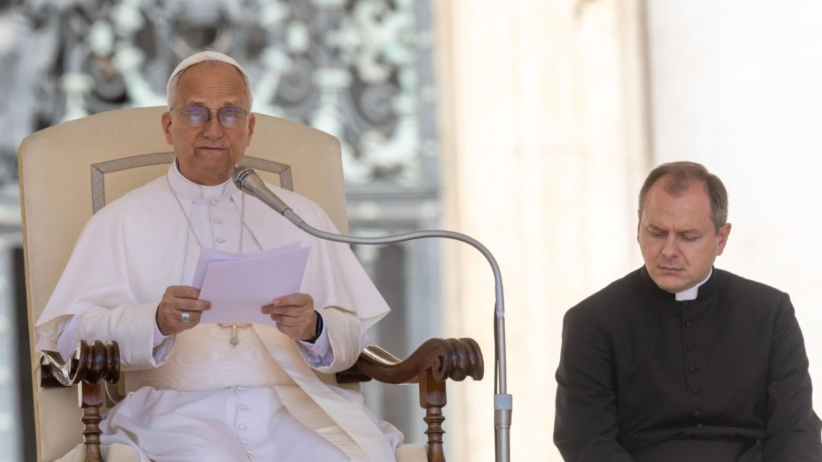 Catequesis del Papa León XIV en la Audiencia General sobre “el sordomudo”
