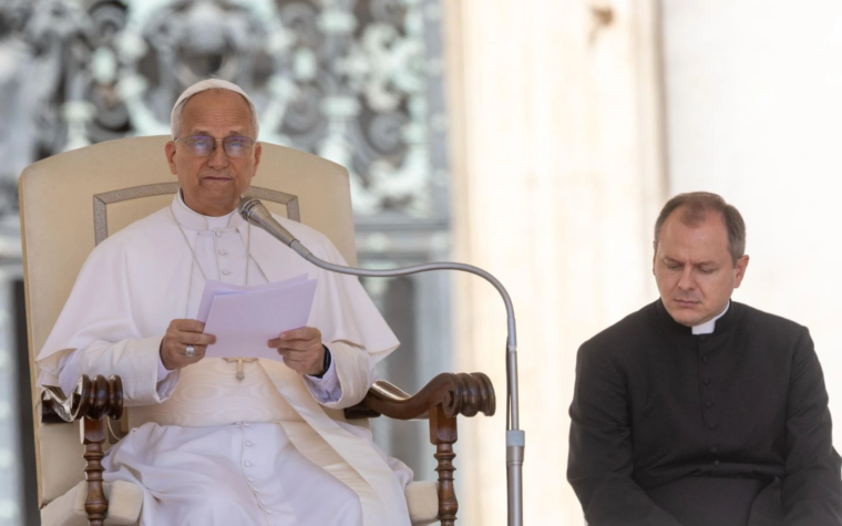 Catequesis del Papa León XIV en la Audiencia General sobre “el sordomudo”
