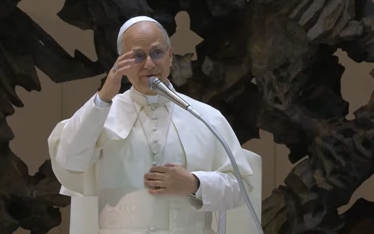Catequesis del Papa Léon XIV sobre la entrega de la vida por amor