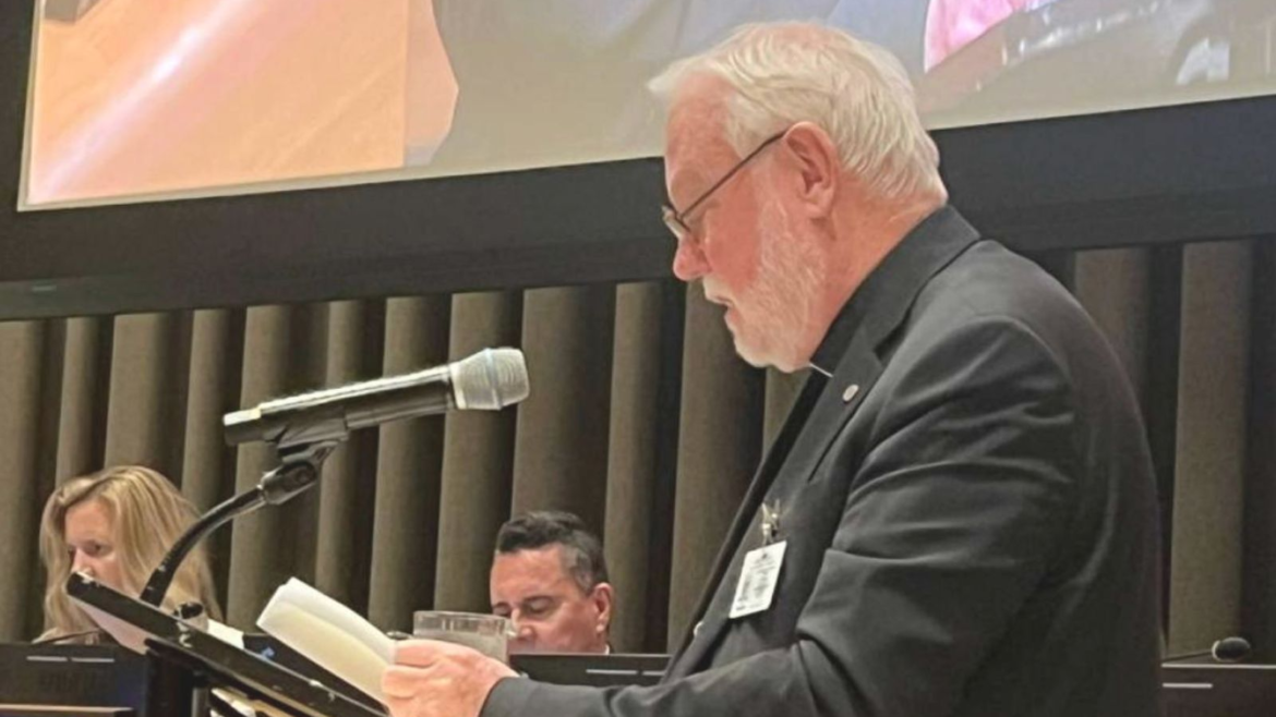La Santa Sede pide en la ONU una “moratoria inmediata” sobre las armas letales autónomas