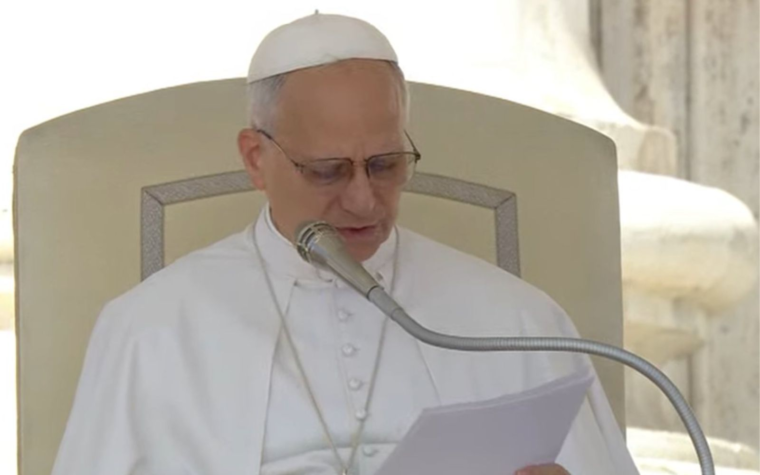 TEXTO COMPLETO: Catequesis del Papa León XIV sobre las palabras de Jesús “tengo sed” y “todo está consumado”