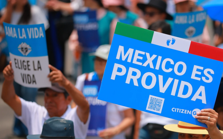 Miles marcharán por la vida en México en más de 80 ciudades