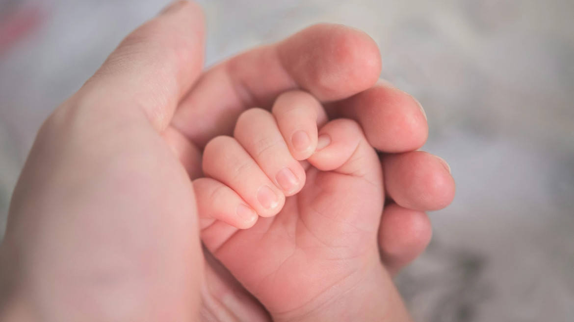 530 niños “no verán la luz” en Iguazú: Obispo denuncia “las sombras de muerte” del aborto