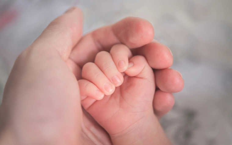 530 niños “no verán la luz” en Iguazú: Obispo denuncia “las sombras de muerte” del aborto