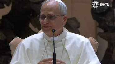 León XIV: Pocas veces en la vida me he sentido inspirado por un proceso, me inspiran las personas