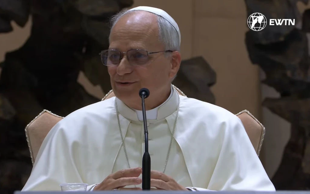 León XIV: Pocas veces en la vida me he sentido inspirado por un proceso, me inspiran las personas